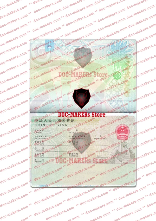 China Visa Sticker + Photo Look – PSD Template