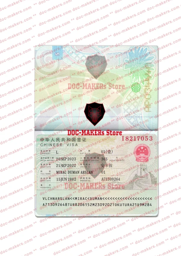 China Visa Sticker + Photo Look – PSD Template