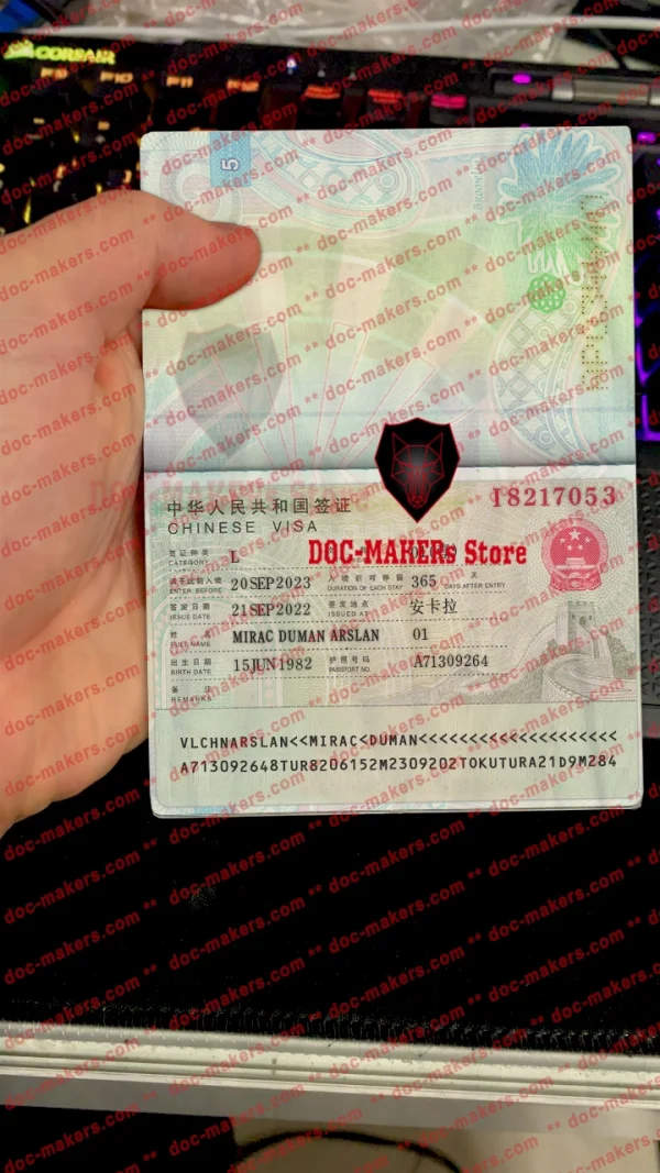 China Visa Sticker + Photo Look – PSD Template